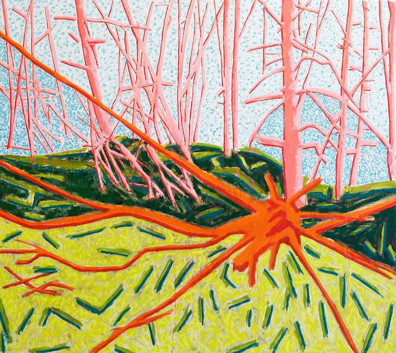 Harpswell Woods No.16 