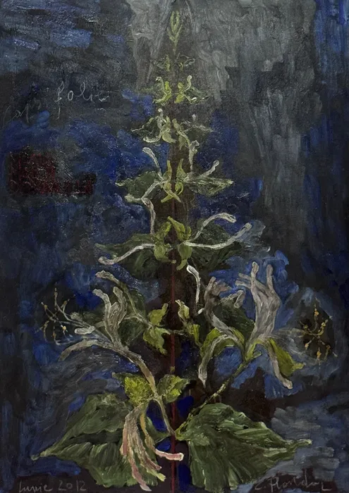 Constantin Flondor, Mâna Maicii Domnului, 2012