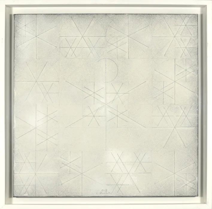Constantin Flondor, Snowflake, 2013