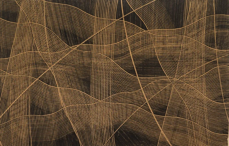 Roman Cotoșman, Action, 1967