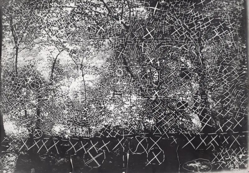 Constantin Flondor, Stimuli at Green Forest, 1979-1981