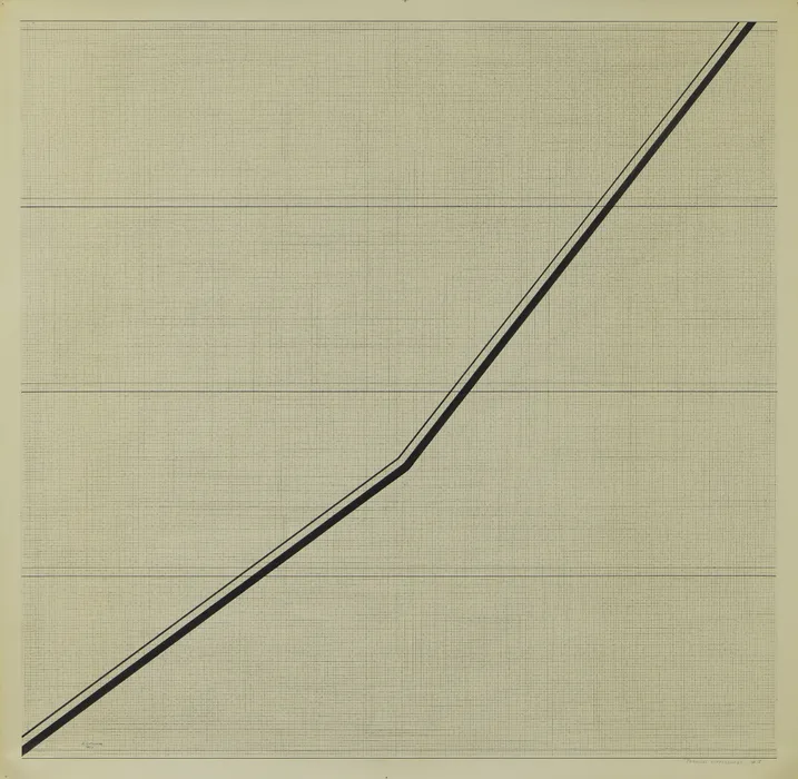 Roman Cotoșman, Parallel Differences, 1977