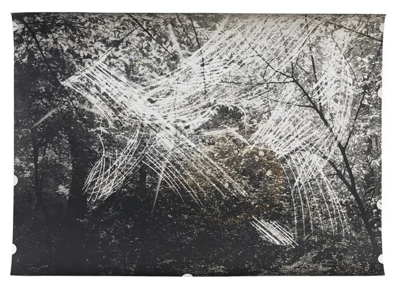 Constantin Flondor, Stimuli at Green Forest, 1979-1981