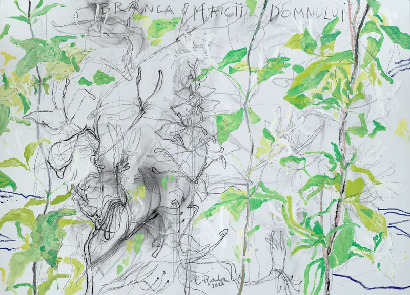 Constantin Flondor, Branca Maicii Domnului II, 2022