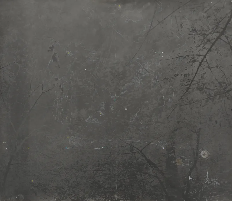 Constantin Flondor, Stimuli la Padurea verde, 1979-80