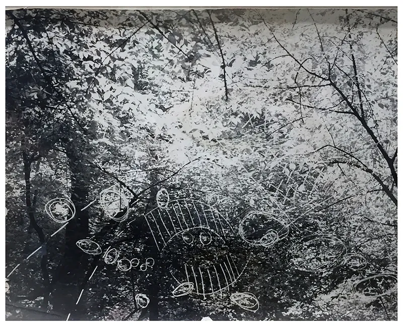 Constantin Flondor, Stimuli at Green Forest, 1979-1981