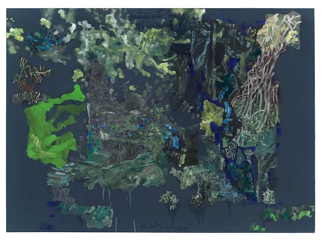 Constantin Flondor, Garden in riddle V , 2024