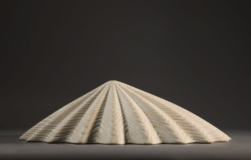 Duke Christie, White Limpet, 2020