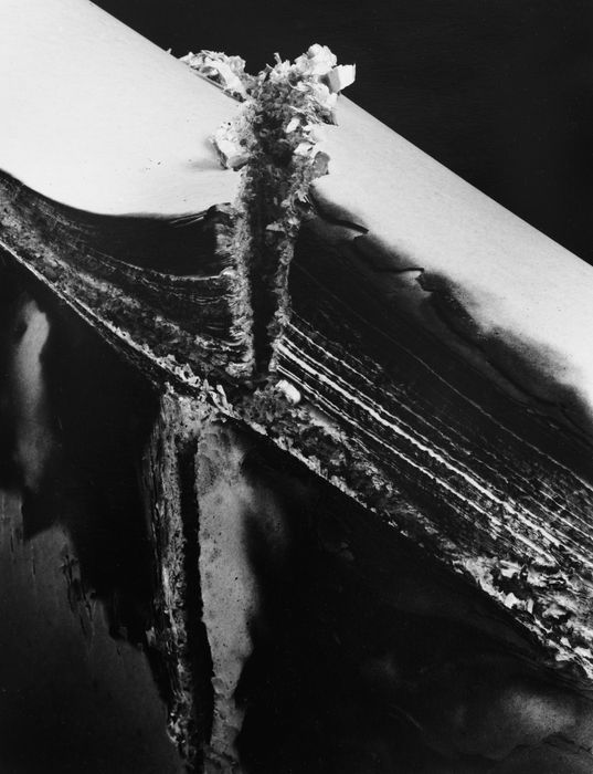 Hitoshi Fugo, KAMI 15, 2001