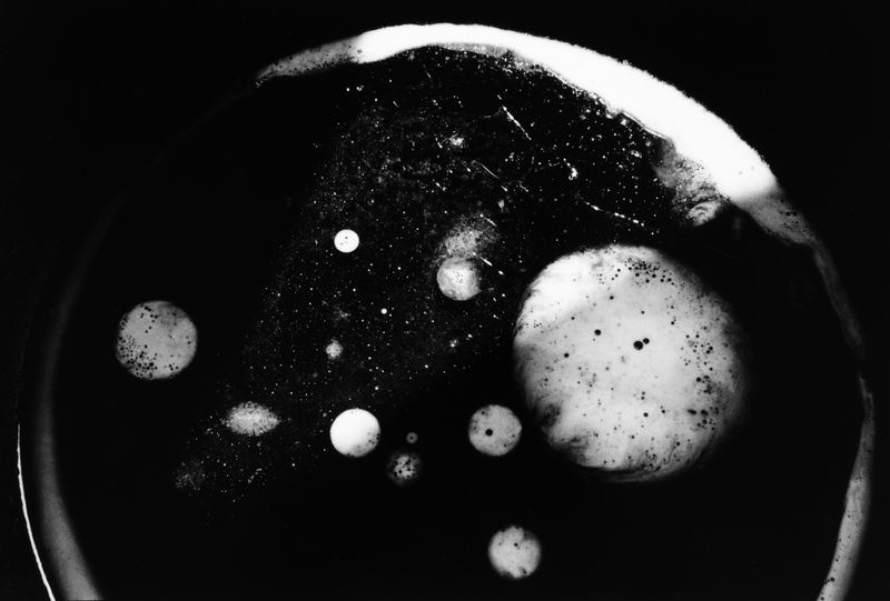 Hitoshi Fugo, Flying Frying Pan 47, 1979