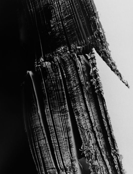 Hitoshi Fugo, KAMI 31, 2022