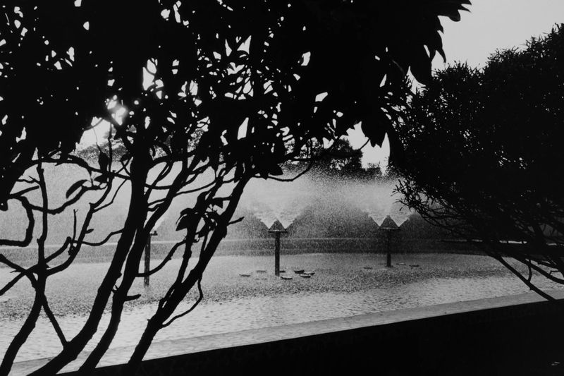 Hitoshi Fugo, BLACKOUT 49, 1980