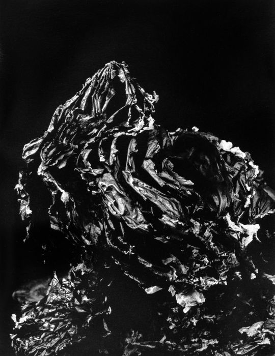 Hitoshi Fugo, KAMI 34, 2024