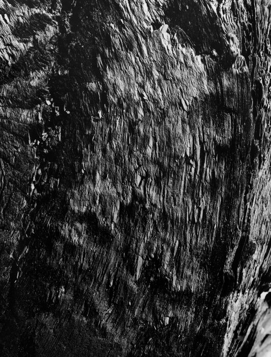 Hitoshi Fugo, KAMI 25, 2001