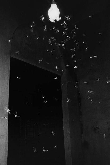 Hitoshi Fugo, BLACKOUT 25, 1980