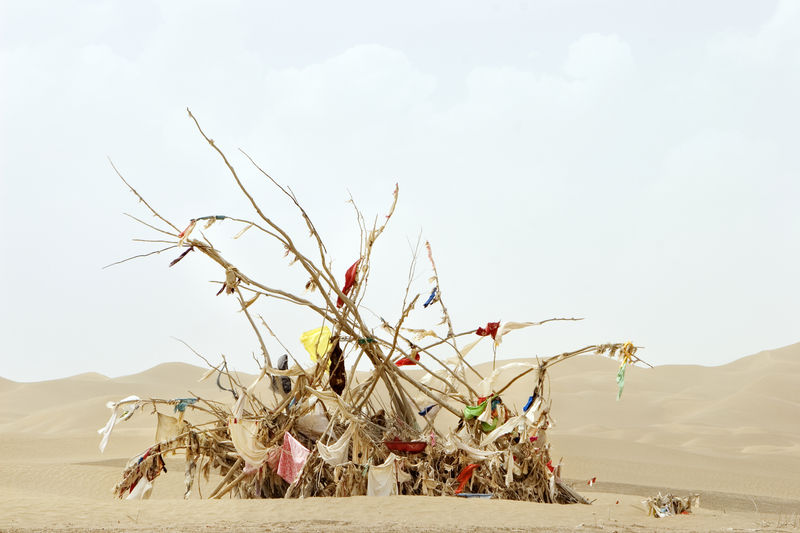 Lisa Ross, Unrevealed Site 3 (Adorned), 2009