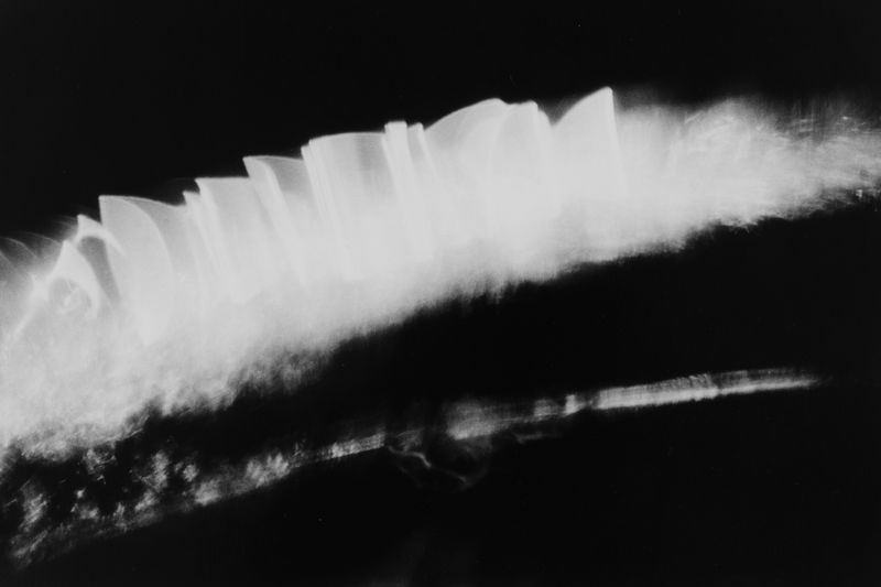 Hitoshi Fugo, Flying Frying Pan 40, 1983