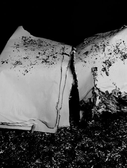 Hitoshi Fugo, KAMI 14, 2001