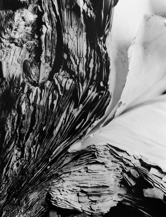 Hitoshi Fugo, KAMI 16, 2001