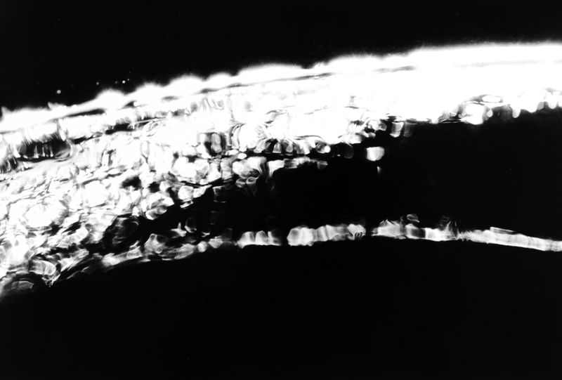 Hitoshi Fugo, Flying Frying Pan 43, 1983