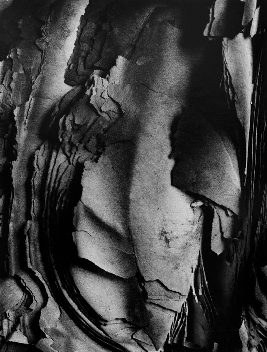 Hitoshi Fugo, KAMI 21, 2001