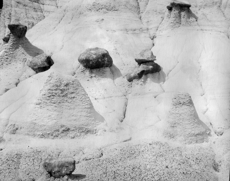 Koyoltzintli, Bisti DeNaZin, 2019