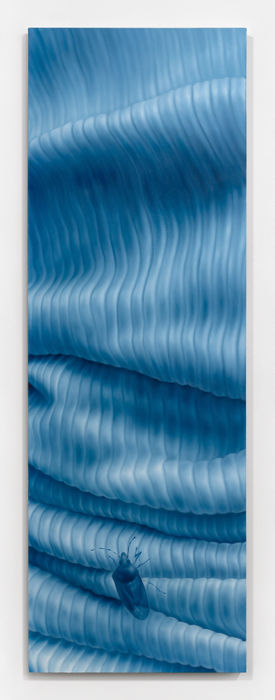 Alejandra Moros, Big Creek Swim, 2024