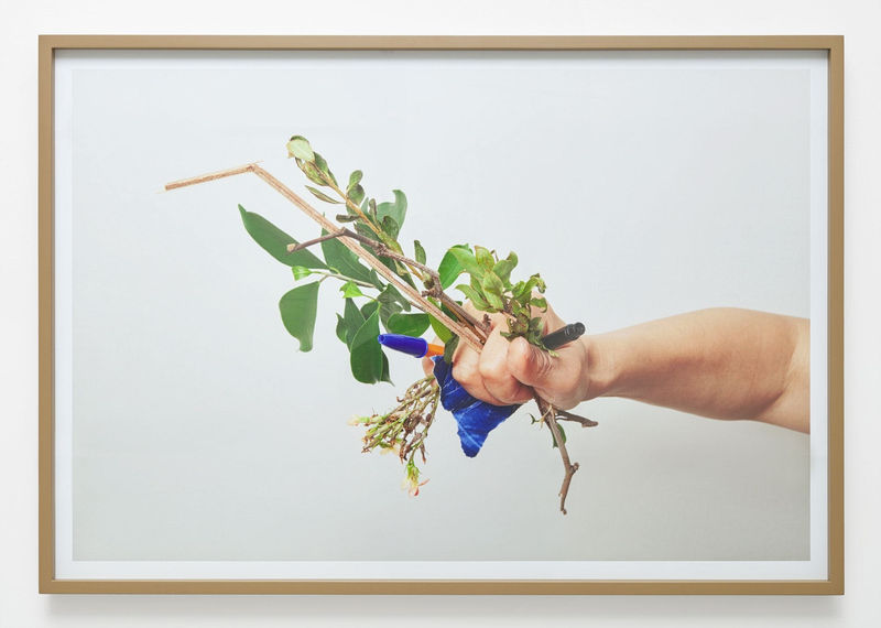 Chung Seoyoung, Evidence, 2014