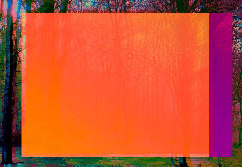 Christian Eckart, Forest, 2019