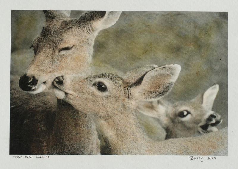 Bob Keefer, Three Deer, 2023