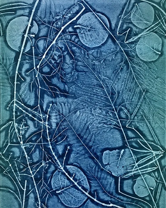 Lisa Schonberg, From the Woodlands to the Sea #2, 2019