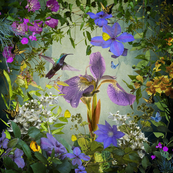 Ryn Clarke, Bill's Garden, 2021