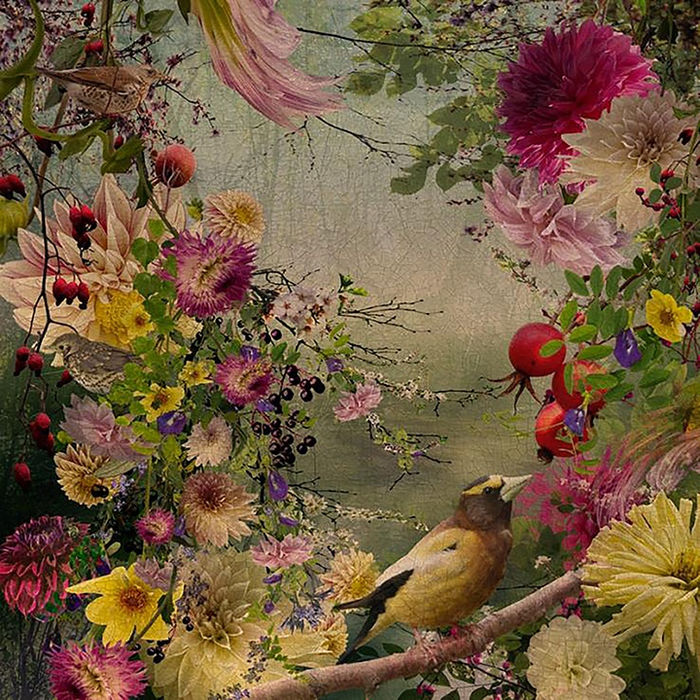 Ryn Clarke, Rivervines and Grosbeak, 2022