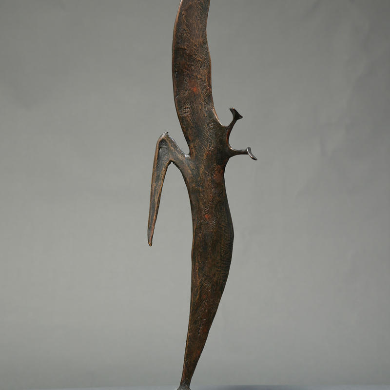 Robert Cook, Pelican, 2011