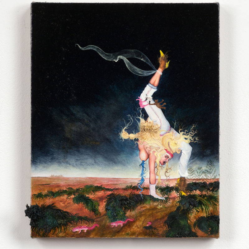 Anj Smith, Rose of Rhopographia, 2004