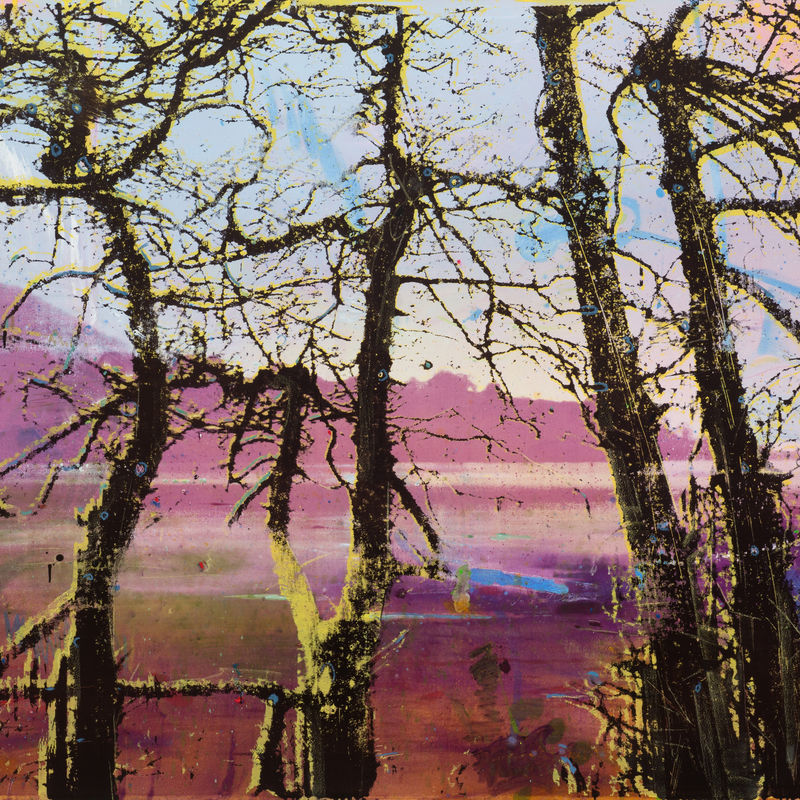 Elizabeth Magill, Headland (1), 2017