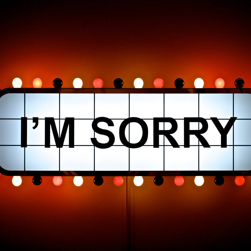 Adel Abidin - "I'M SORRY", 2007