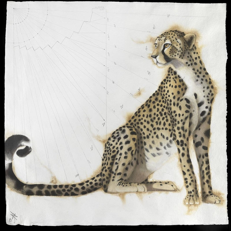 Affordable Art Fair, Hampstead