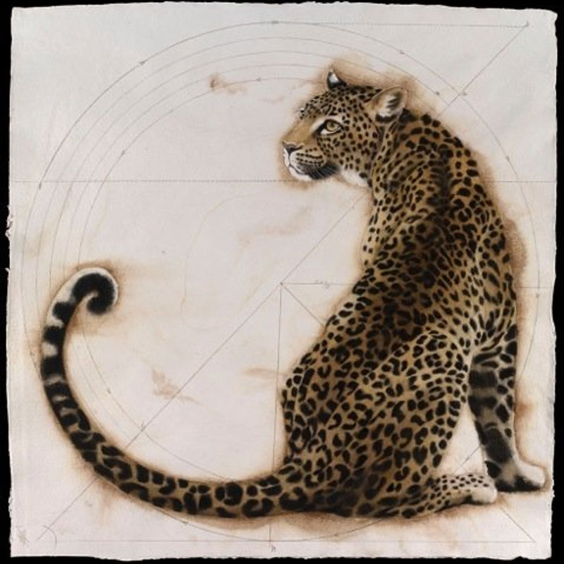 Nikki Stevens, 'Fierce Friends'