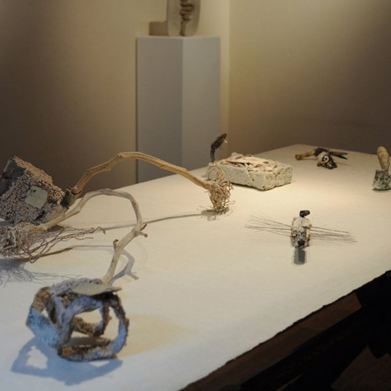 Works in Clay: The Anthony Shaw Collection