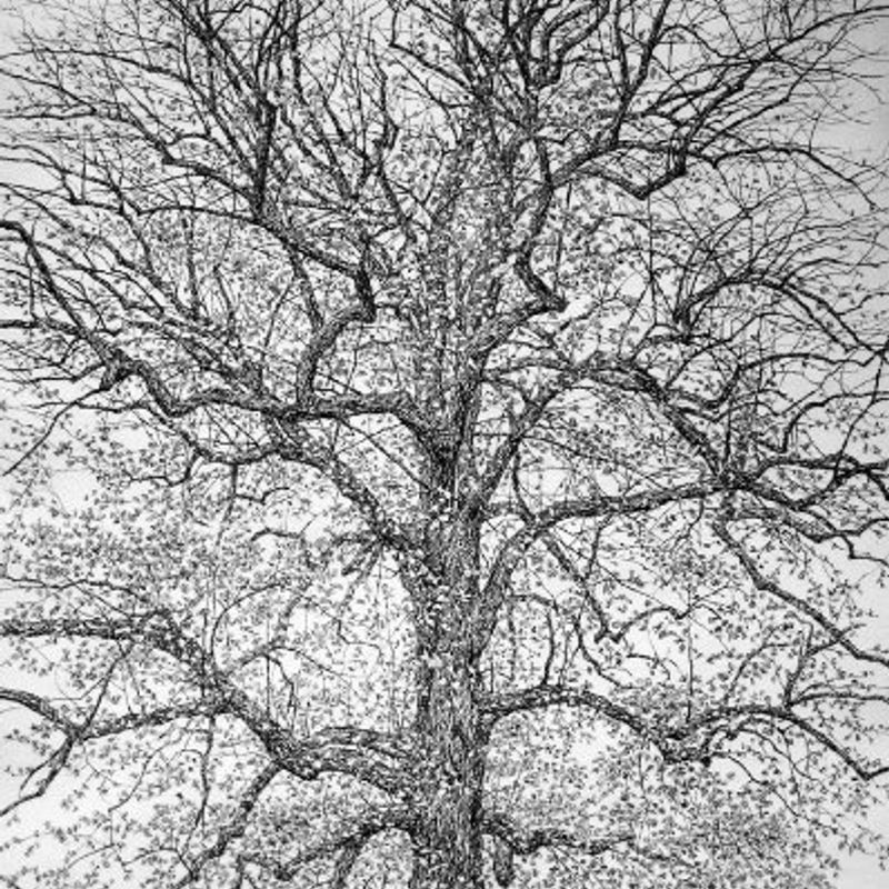 Roy Wright, Autumn Leaves Your Beauty's Got A Hold On Me, 2011