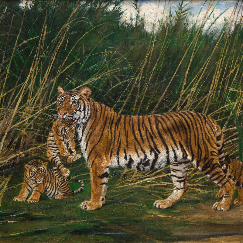 TIGRESS TENDING HER YOUNG