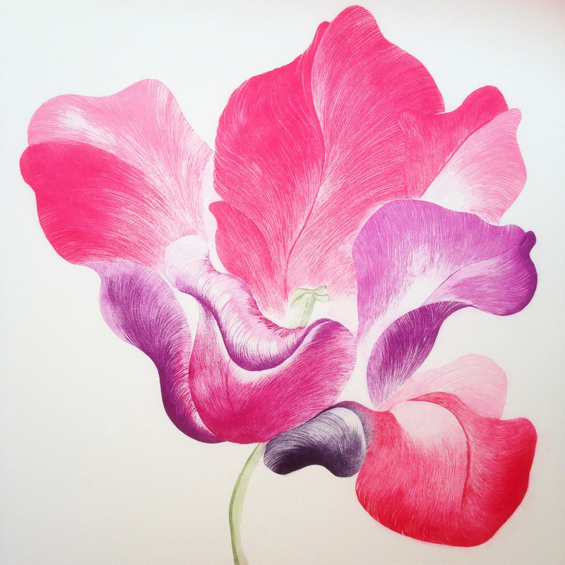 Tulip for Miriam, etching