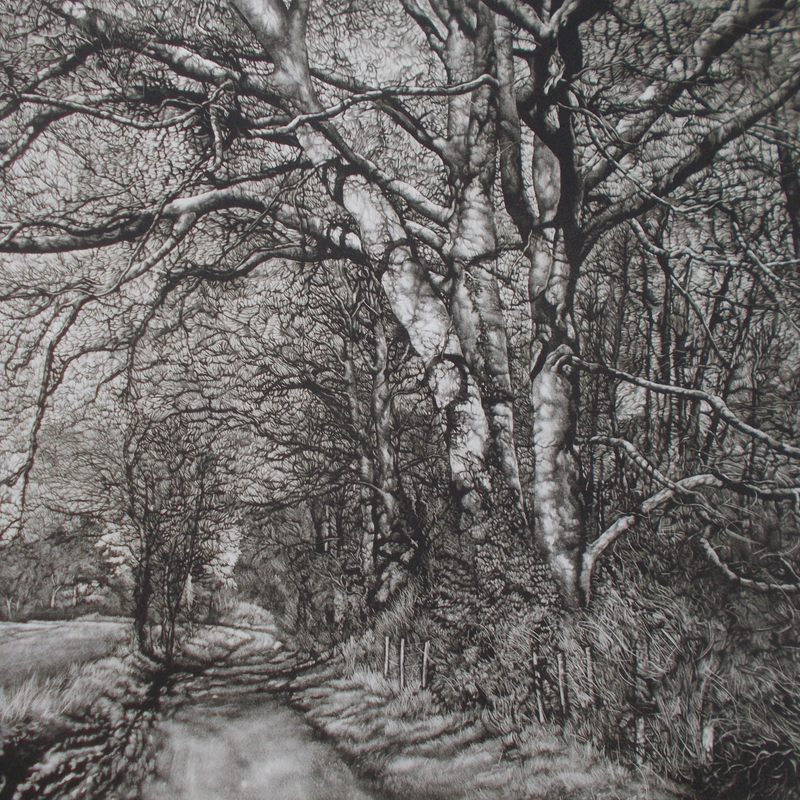 Spring Beeches, mezzotint