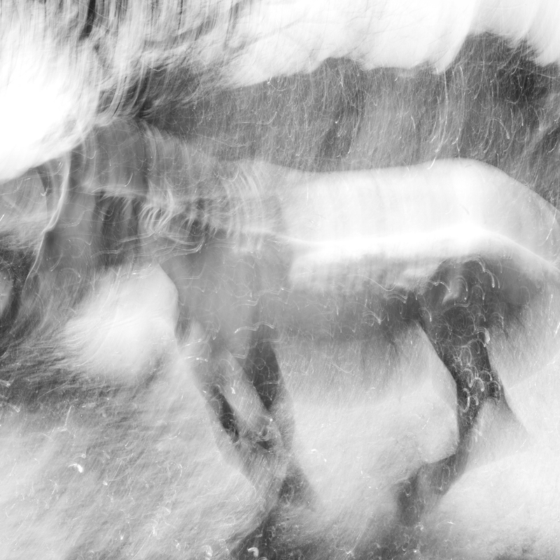 《乐章02》，2019 Movement02