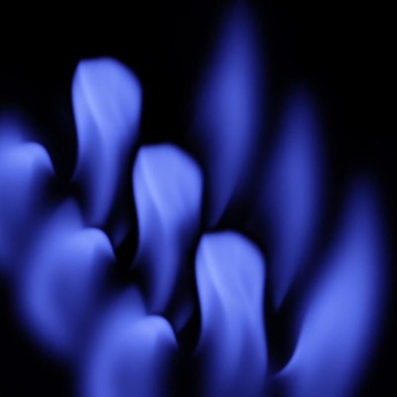 20120911205022 Brcan002Bla