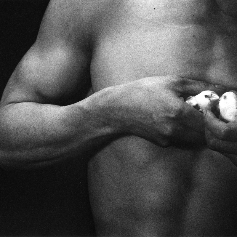 男人和女人#33,1960年_man&woman#33,1960