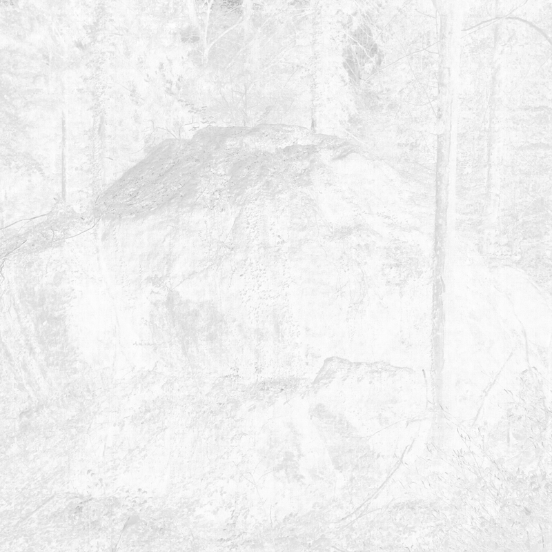 Blocs of Monster 2 negative 2018