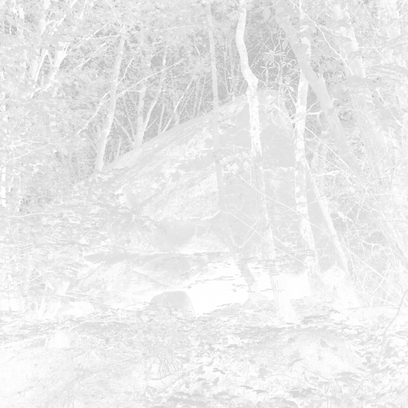 Le bloc studer negative 2018