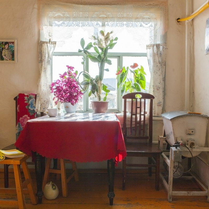 张晨《中国人家》  Zhang Chen Chinese Families  2011 - 2012